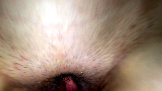 Pov With Wife Prt1